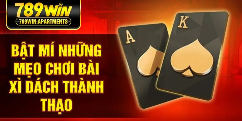 Bật mí những mẹo chơi bài xì dách thành thạo