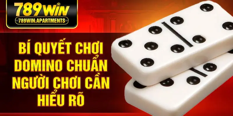 Bí quyết chơi domino chuẩn người chơi cần hiểu rõ
